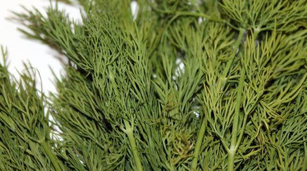 beneficiile minunate ale mararului