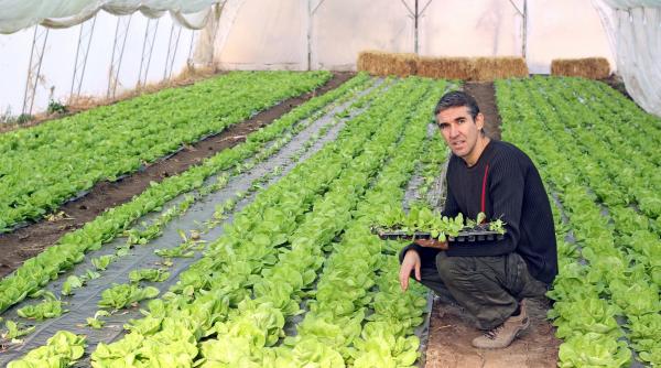 statul roman vrea sa stimuleze tinerii sa devina agricultori
