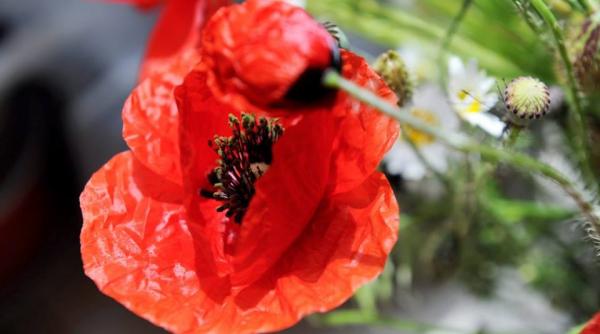 prognoza meteo 1 iunie