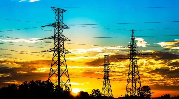 transelectrica cat pe ce sa provoace unde dezastru prin toaletarea pomilor in zona vidraru arefu