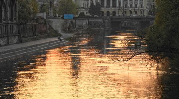 rezultate alegeri locale 2016 oradea primarul bolojan a castigat detasat al treilea mandat cu 71 din voturi