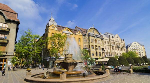 rezultate alegeri locale 2016 timisoara pnl va avea majoritate in consiliul local timisoara