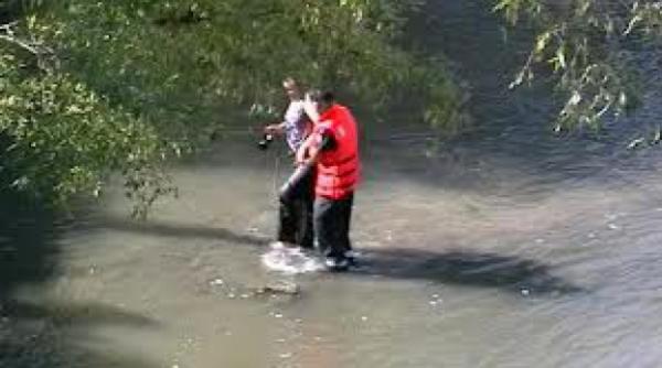 alba batran blocat cu un pod plutitor pe raul mures salvat de un echipaj al isu