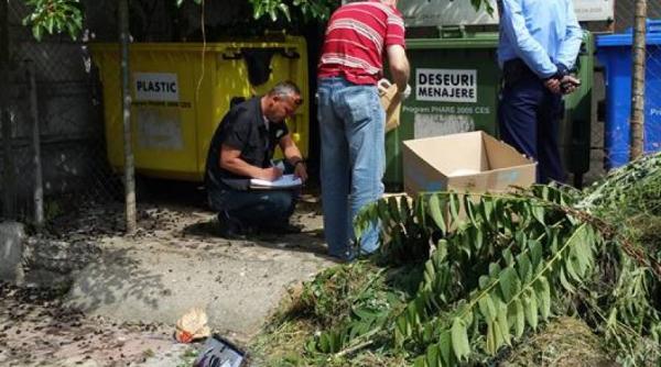 scandal la alegeri locale buletine de vot gasite intr un tomberon din centrul orasului cernavoda