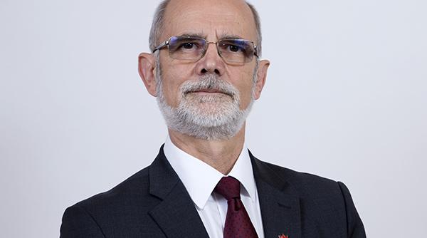 viceprimarul aradului levente bognar a fost lovit de un autoturism pe trecerea de pietoni