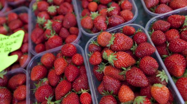 pont cum pastrezi mai mult timp capsunele proaspete