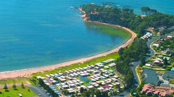 un oras australian se lupta cu o invazie neobisnuita