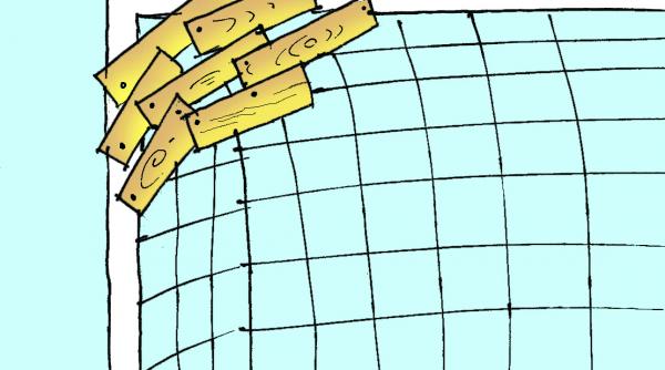 caricatura 13 iunie 2016