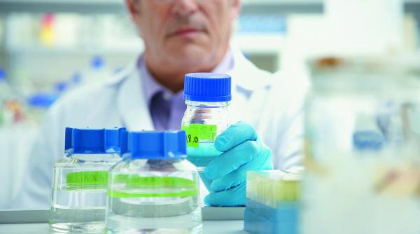 controlul dezinfectantilor dupa limitele bugetare