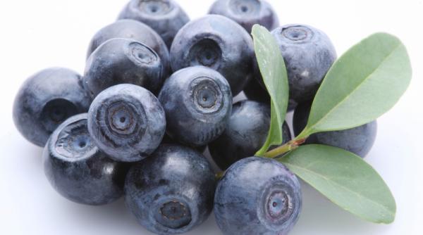 naturisme afinul si rozmarinul in insuficienta renala