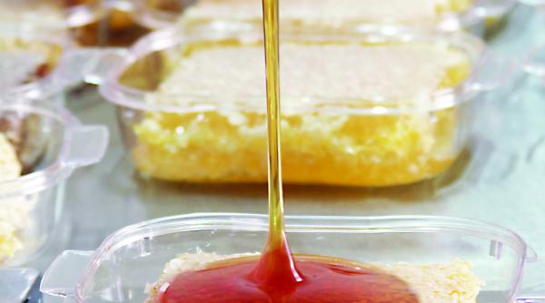 fara fabrici de procesare exportam numai materie prima