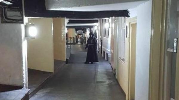 video o aparitie misterioasa da fiori reci locuitorilor din orasul britanic chester