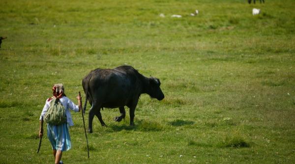 vaslui canicula face prima victima un batran a murit pe camp