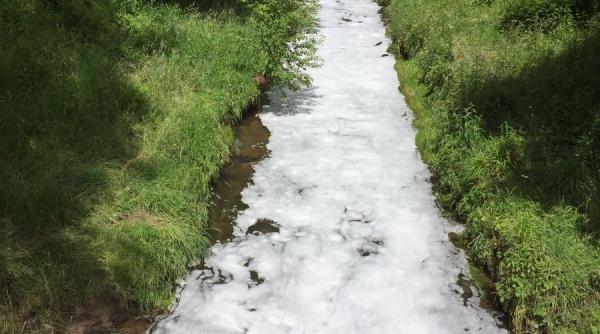 un parau din elvetia a fost poluat cu bere