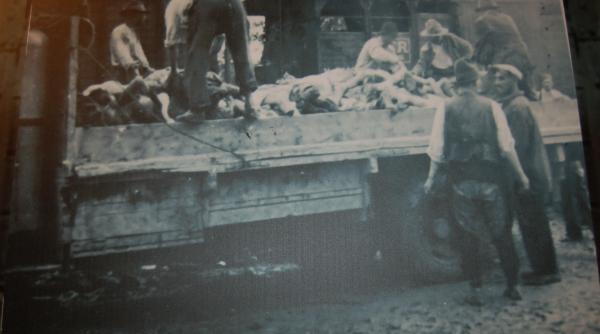 pogromul de la iasi 75 de ani ma credeau spion ca aveam servieta am fost batut cu patul armei si dus apoi cu trenul mortii galerie foto