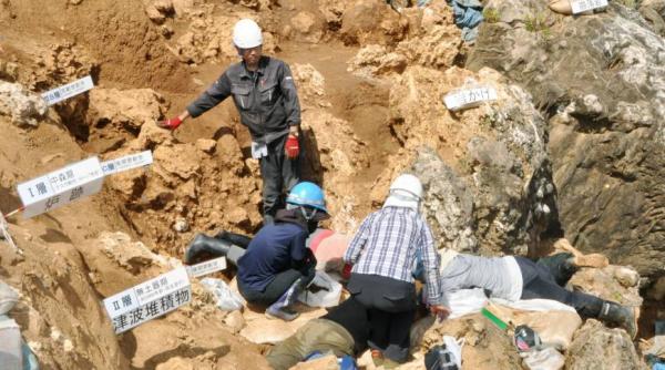 japonia au fost identificate oseminte omenesti de acum 24 000 de ani