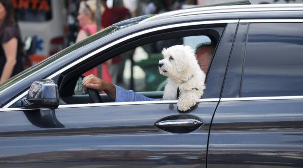 prognoza meteo 4 17 iulie meteorologii anunta zile mai racoroase in aceasta saptamana cu dimineti cu temperaturi mai scazut decat normal