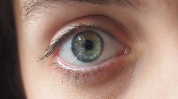 cum scapi cel mai usor de pistrui