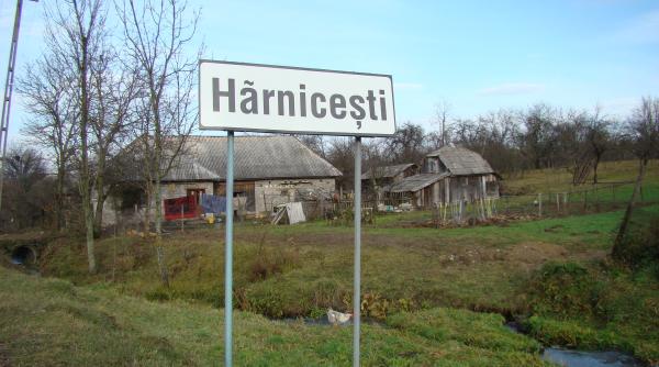 reteta zilei de marti brozbute cu groscior ca la harnicesti