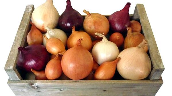 tratamente naturiste 10 retete terapeutice pe baza de ceapa