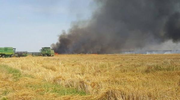 giurgiu incendiu extins pe 50 de hectare de teren agricol dupa ce un autotren incarcat cu grau a luat foc