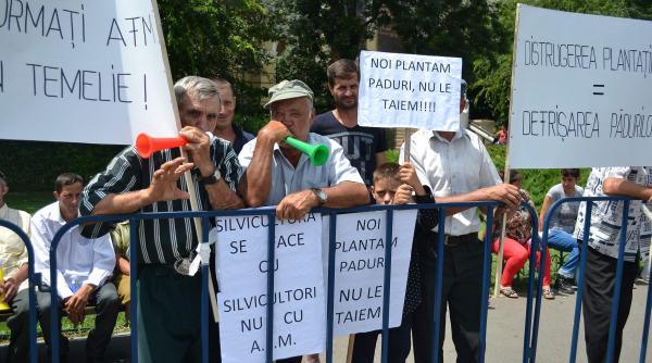 nu recunosc padurea dar sunt experti la ministerul mediului