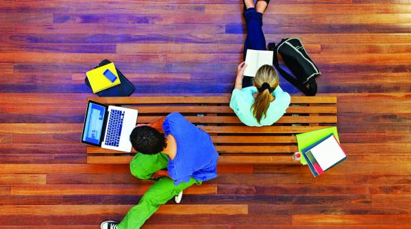 viitorul fabrici de someri fara corelarea cu piata fortei de munca