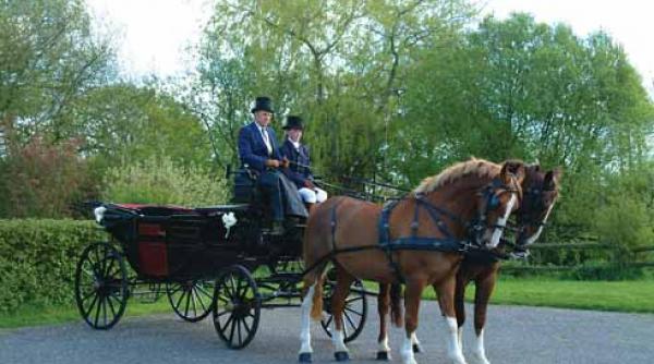 constanta regia judeteana de drumuri si poduri proprietara de trasuri costume de calarie si harnasamente
