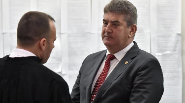 academia plagiatorilor urmeaza toba si oprea