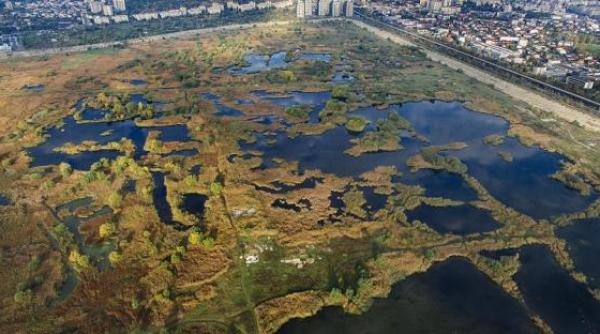 incendiul izbucnit in delta vacaresti a fost stins