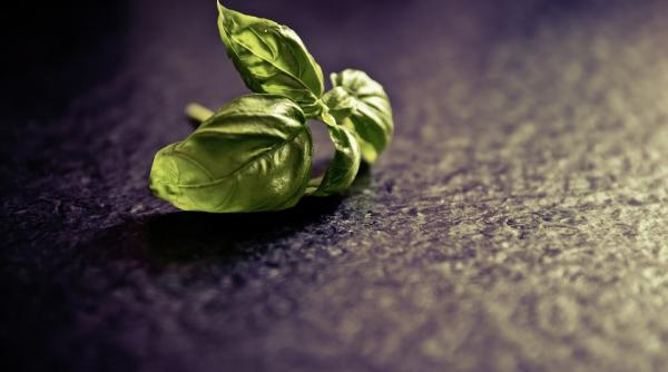 ierburile aromatice care te ajuta atunci cand ai diabet