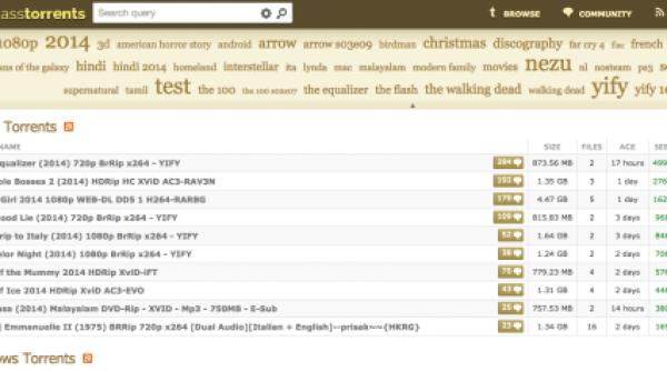 cel mai mare site de torrente a fost inchis definitiv administratorul a fost retinut