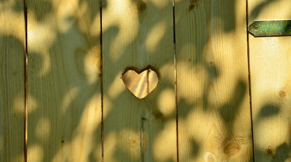 jobul bine platit pe care nu il vrea nimeni