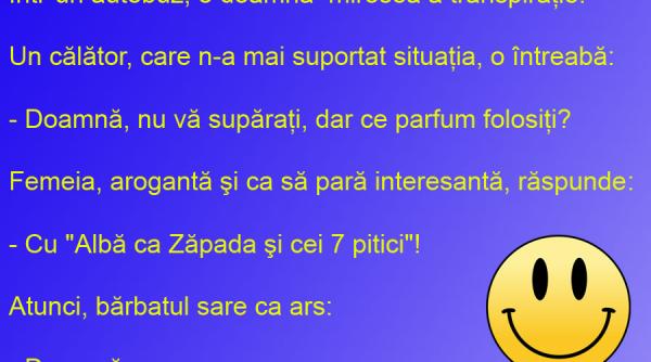 bancul zilei alba ca zapada si cei 7 pitici in autobuz