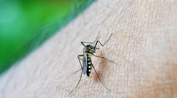 ministerul sanatatii confirma un al treilea caz de infectare cu virus zika la un roman