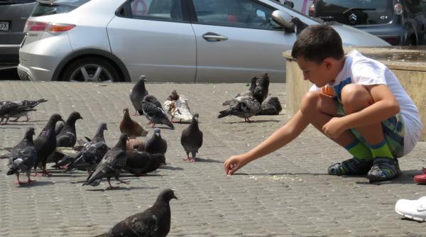 prognoza meteo cum va fi vremea pe 29 30 si 31 iulie 2016