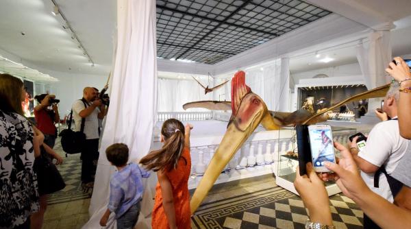 gigantul de hateg la muzeu