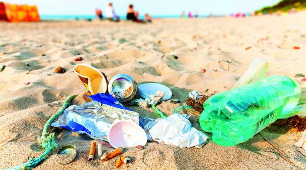 s a cantarit marlania de pe plaja o tona