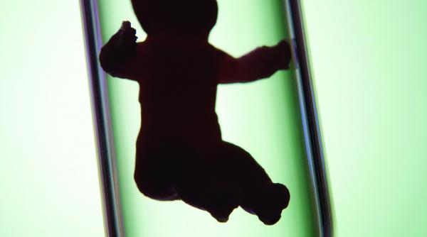 studiu infertilitatea la femei ar putea fi cauzata de un virus