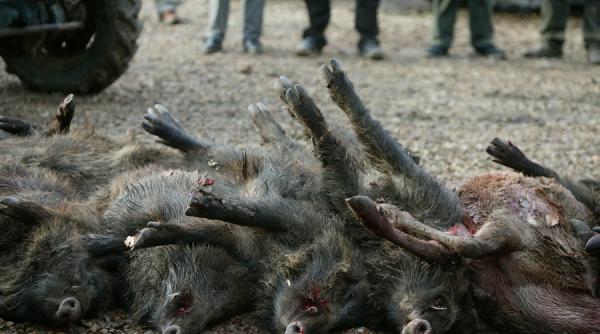 un cetatean danez prins la braconat in romania