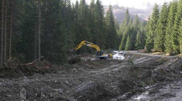 ministrul mediului se taie in continuare copaci ilegal dar se taie altfel un pic mai sofisticat