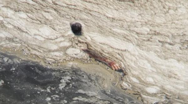 rio 2016 cadavre si gunoaie asa arata golful unde se vor desfasura probele acvatice