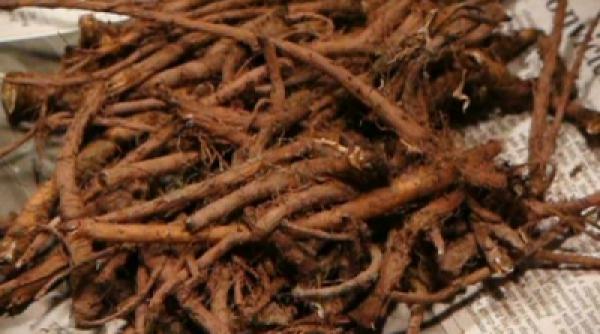 ucide celulele canceroase in 48 ore de 100 ori mai eficienta decat chimioterapia