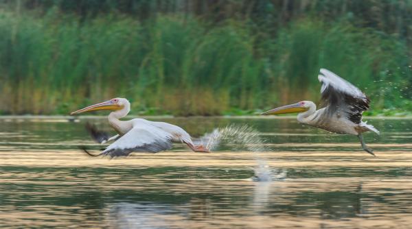 fonduri pentru arii protejate