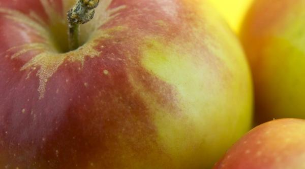 elevii vor primi mere 88 de zile in anul scolar viitor