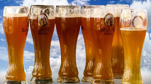 berea dupa program profit pentru companie