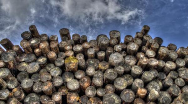 inspectorul padurii utilizatorii pot verifica incepand de vineri lemnul transportat in vagoane de tren carute sau containere