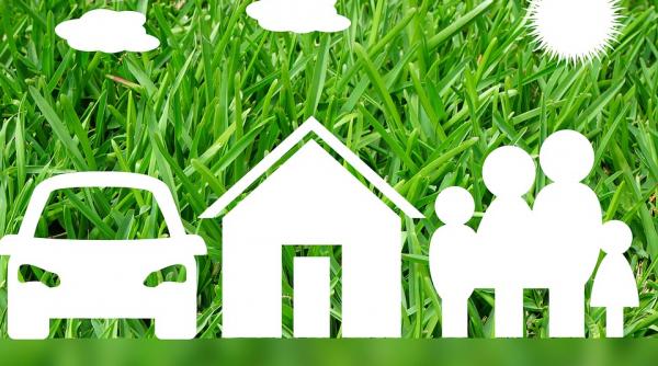 politele rca principalul motor de crestere