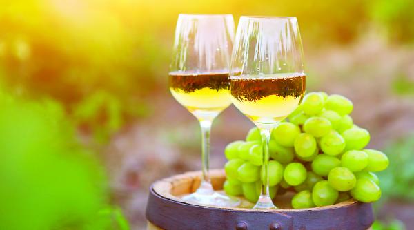 turism la cramele romanesti