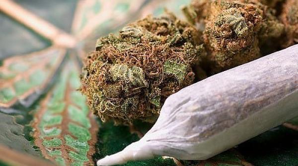 aproximativ 1 300 grame de droguri descoperite la ptf sculeni